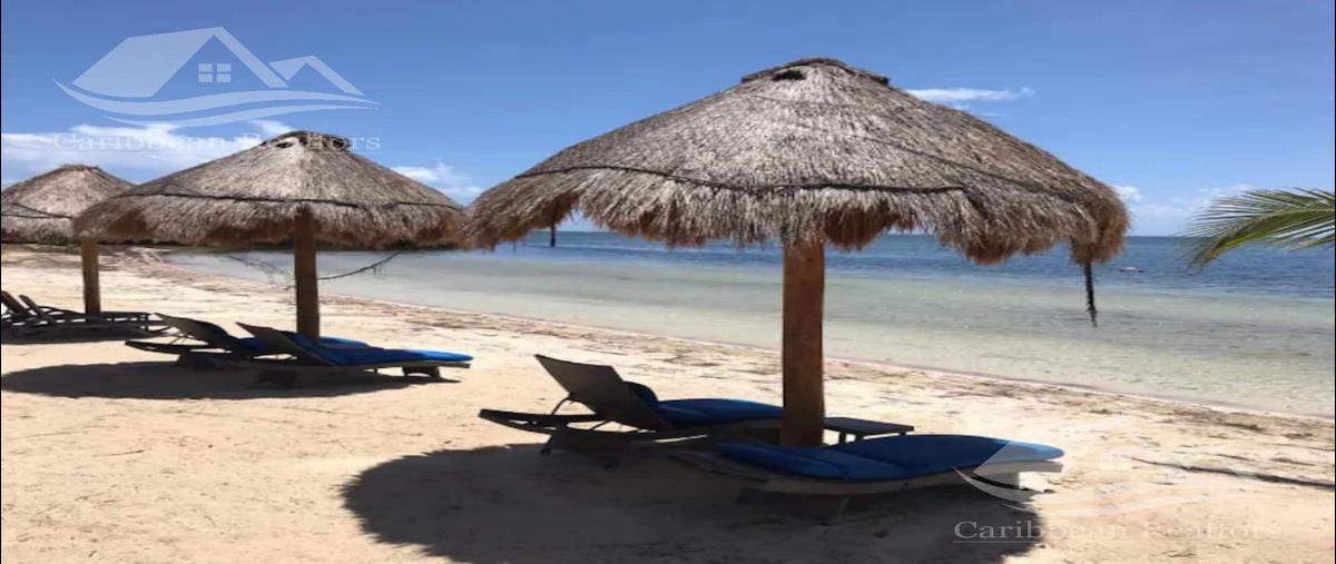 Foto de departamento en venta en  , juárez, benito juárez, quintana roo, 0 No. 04