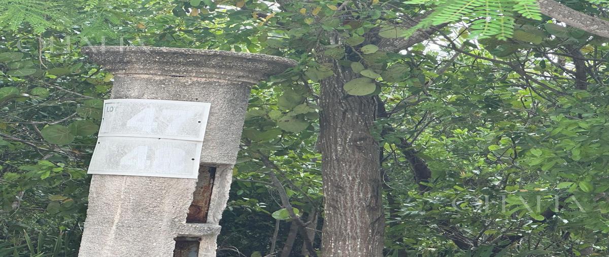 Foto de terreno habitacional en venta en  , juárez, benito juárez, quintana roo, 0 No. 04