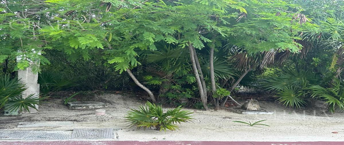 Foto de terreno habitacional en venta en  , juárez, benito juárez, quintana roo, 0 No. 05
