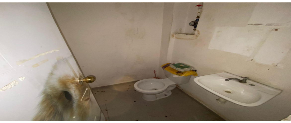 Foto de local en renta en  , juárez, benito juárez, quintana roo, 0 No. 04