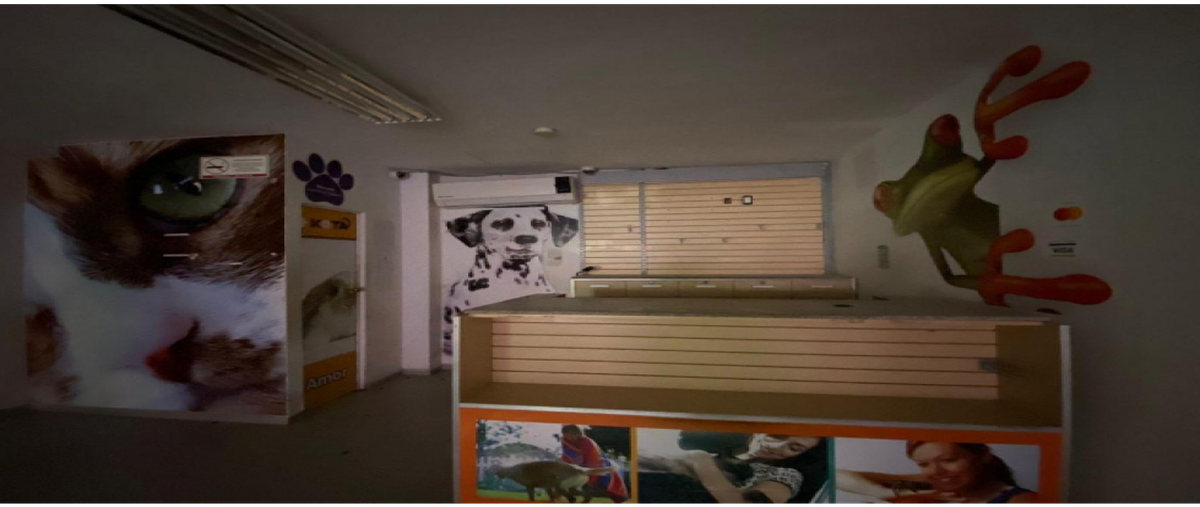 Foto de local en renta en  , juárez, benito juárez, quintana roo, 0 No. 05