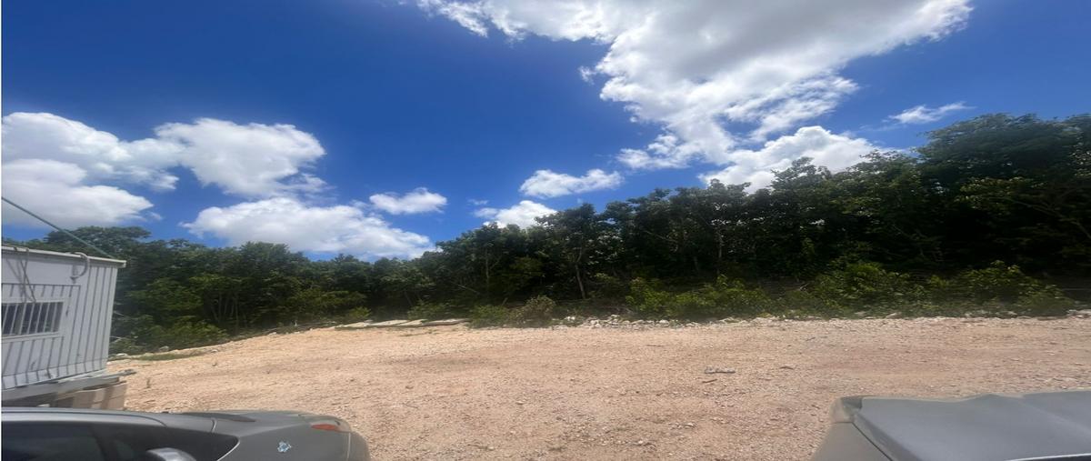 Foto de terreno habitacional en , juárez, benito juárez, quintana roo, 0 foto 01 Foto de terreno habitacional en renta en , juárez, benito juárez, quintana roo, 0 No. 01