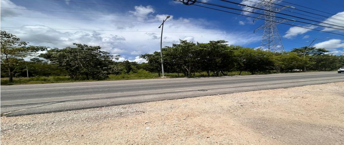 Foto de terreno habitacional en , juárez, benito juárez, quintana roo, 0 foto 03 Foto de terreno habitacional en renta en , juárez, benito juárez, quintana roo, 0 No. 03