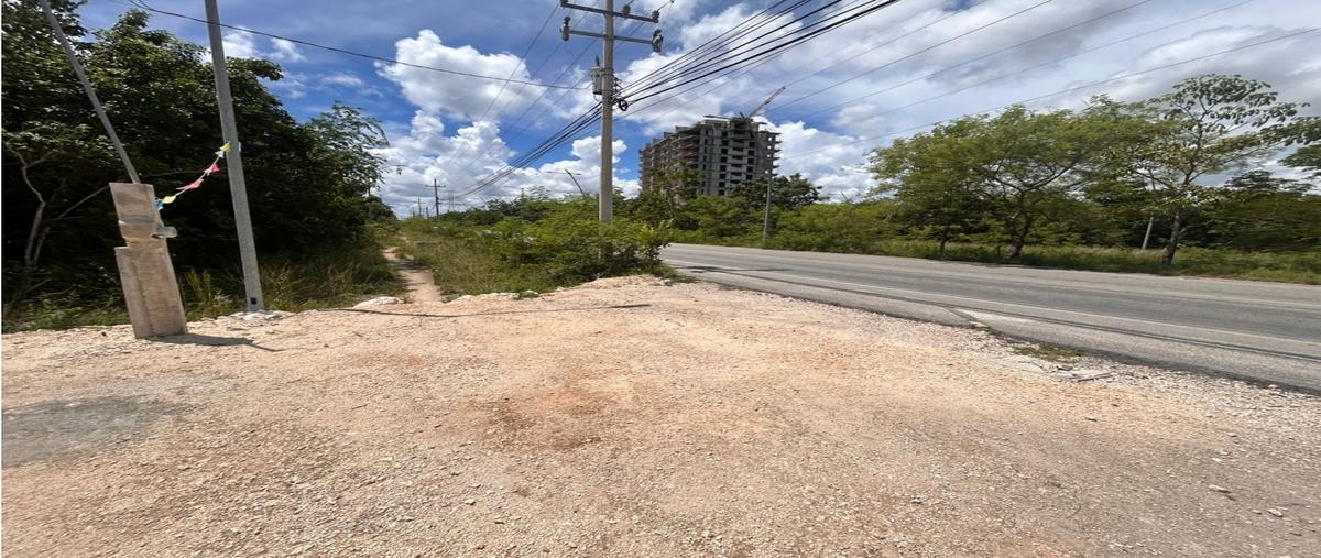 Foto de terreno habitacional en , juárez, benito juárez, quintana roo, 0 foto 04 Foto de terreno habitacional en renta en , juárez, benito juárez, quintana roo, 0 No. 04