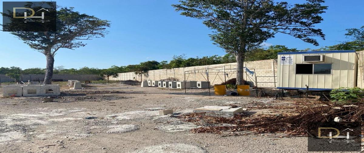 Foto de terreno habitacional en , juárez, benito juárez, quintana roo, 30647375 foto 03 Foto de terreno habitacional en renta en , juárez, benito juárez, quintana roo, 30647375 No. 03