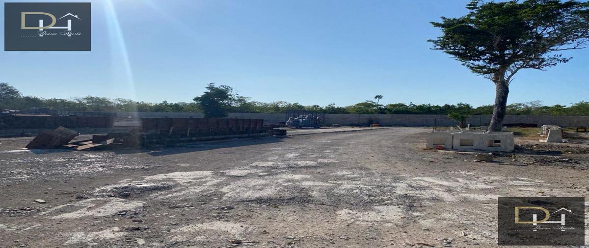 Foto de terreno habitacional en , juárez, benito juárez, quintana roo, 30647375 foto 04 Foto de terreno habitacional en renta en , juárez, benito juárez, quintana roo, 30647375 No. 04
