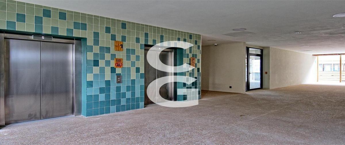 Foto de local en renta en  , juárez, benito juárez, quintana roo, 31076134 No. 05