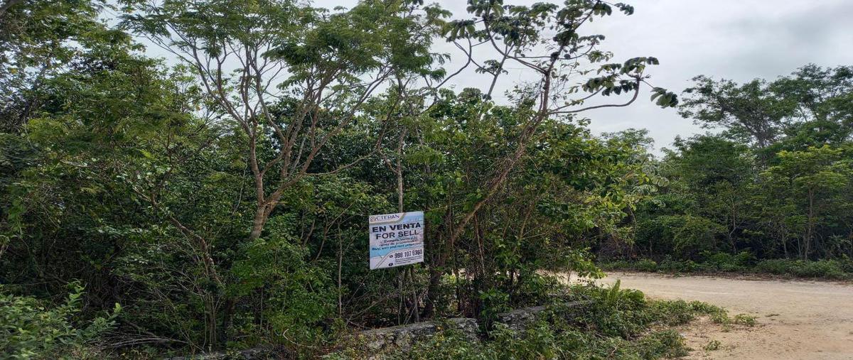 Foto de terreno habitacional en venta en  , juárez, benito juárez, quintana roo, 0 No. 03