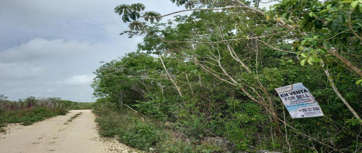 Foto de terreno habitacional en venta en  , juárez, benito juárez, quintana roo, 0 No. 04