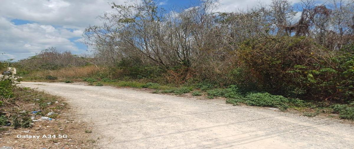 Foto de terreno habitacional en venta en  , juárez, benito juárez, quintana roo, 0 No. 03