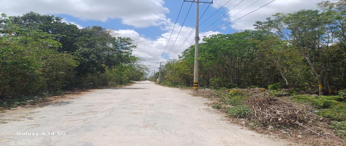Foto de terreno habitacional en venta en  , juárez, benito juárez, quintana roo, 0 No. 04