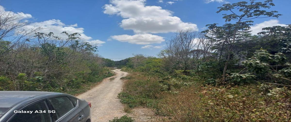 Foto de terreno habitacional en venta en  , juárez, benito juárez, quintana roo, 0 No. 05