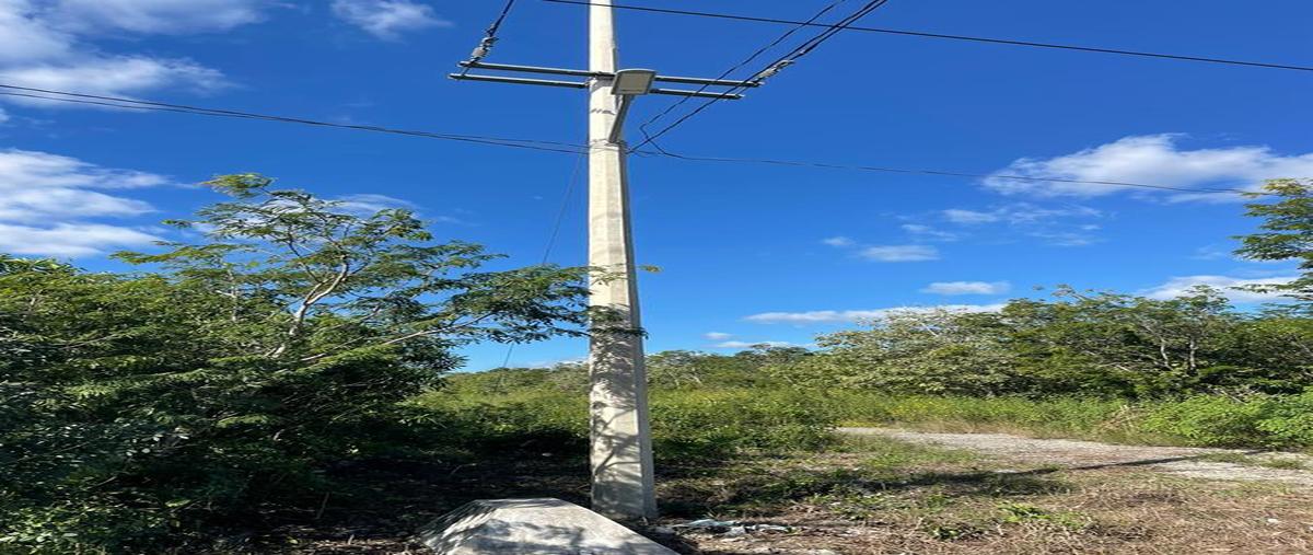 Foto de terreno habitacional en venta en  , juárez, benito juárez, quintana roo, 0 No. 05