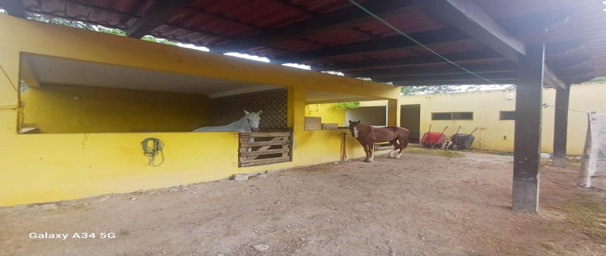 Foto de casa en , juárez, benito juárez, quintana roo, 0 foto 04 Foto de casa en venta en , juárez, benito juárez, quintana roo, 0 No. 04