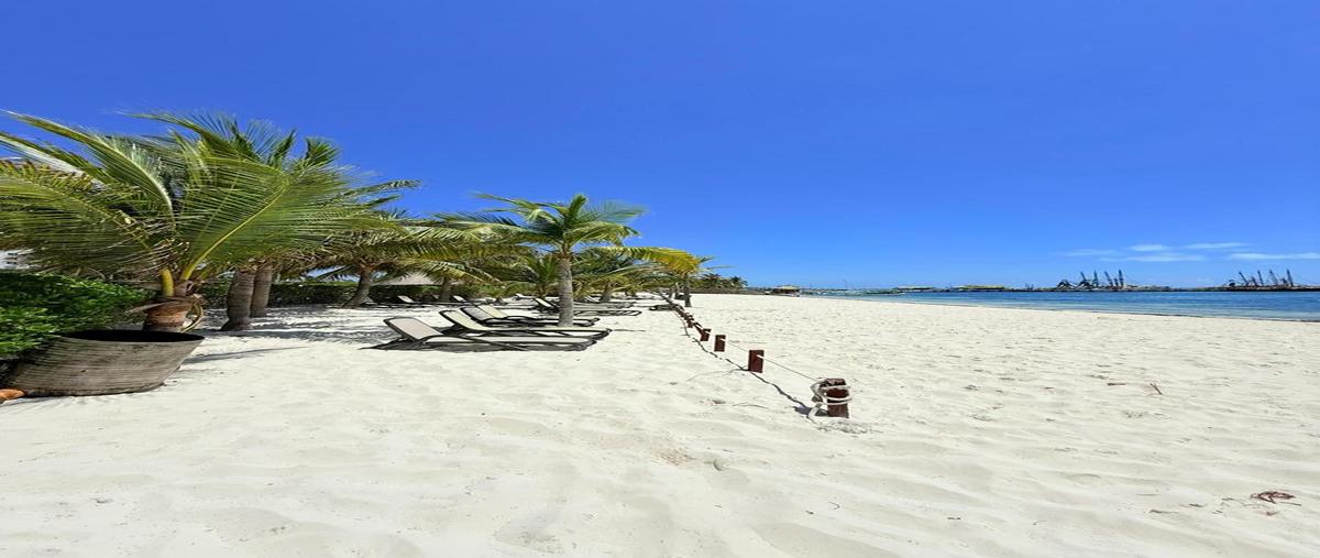 Foto de departamento en renta en  , juárez, benito juárez, quintana roo, 31472541 No. 04