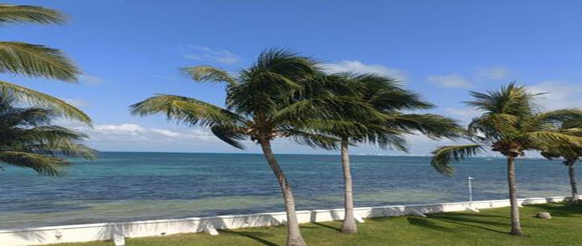 Foto de casa en renta en  , juárez, benito juárez, quintana roo, 0 No. 05