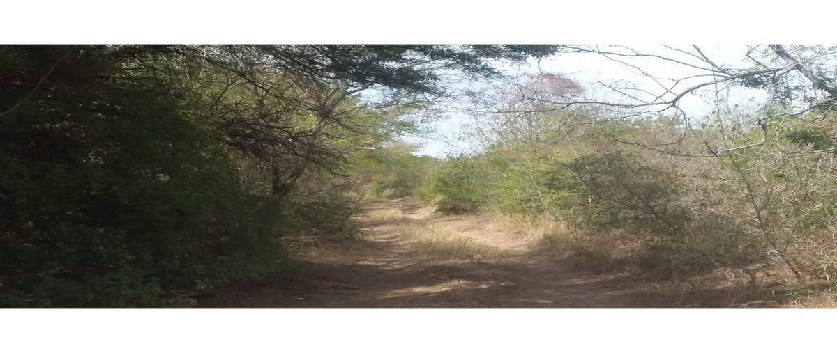 Foto de terreno habitacional en venta en  , juárez, cerralvo, nuevo león, 28464087 No. 05