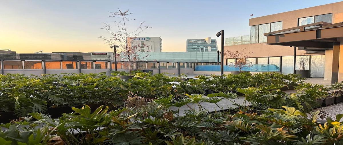 Foto de local en renta en  , juárez, cuauhtémoc, df / cdmx, 0 No. 03