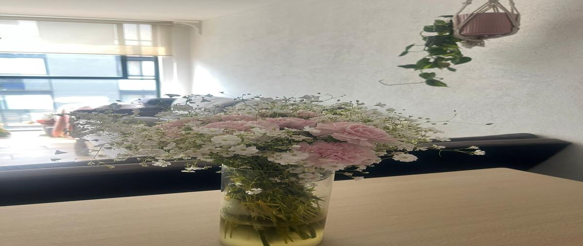 Foto de departamento en renta en  , juárez, cuauhtémoc, df / cdmx, 0 No. 04
