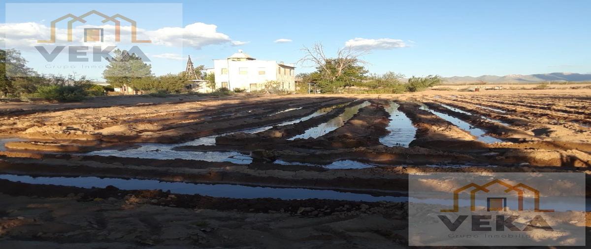Foto de rancho en venta en  , juárez, juárez, chihuahua, 29293421 No. 03