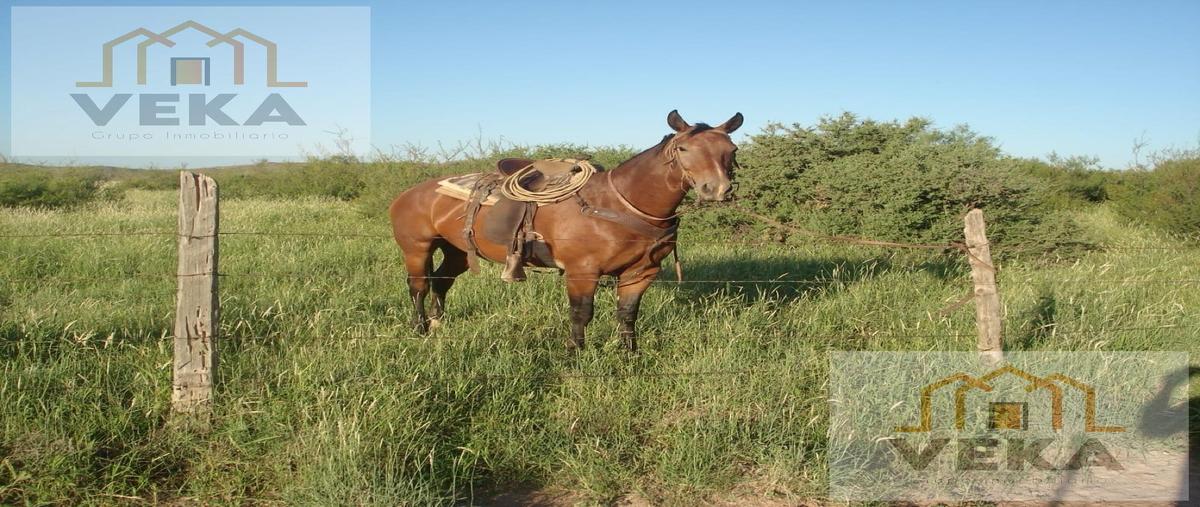 Foto de rancho en venta en  , juárez, juárez, chihuahua, 29293421 No. 04