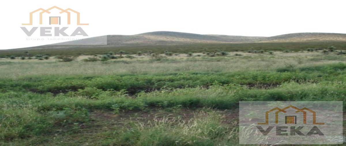 Foto de rancho en venta en  , juárez, juárez, chihuahua, 29293421 No. 05