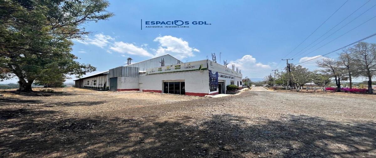 Foto de bodega en renta en juarez , san martín de zula, ocotlán, jalisco, 26617407 No. 04