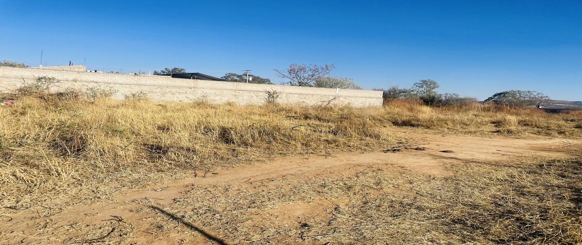 Foto de terreno habitacional en venta en juarez , valle de los molinos, zapopan, jalisco, 0 No. 04