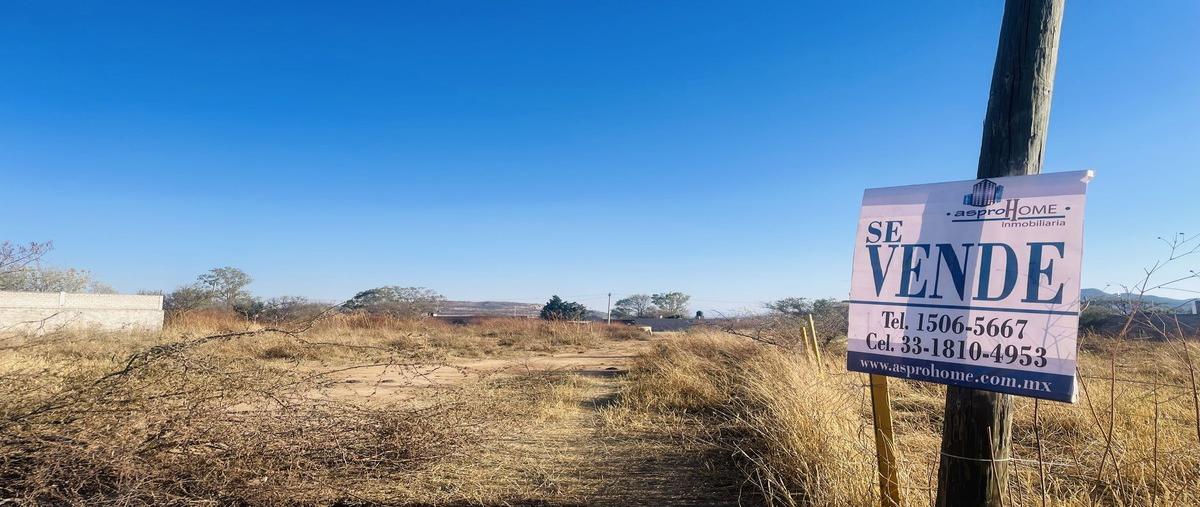Foto de terreno habitacional en venta en juarez , valle de los molinos, zapopan, jalisco, 0 No. 05
