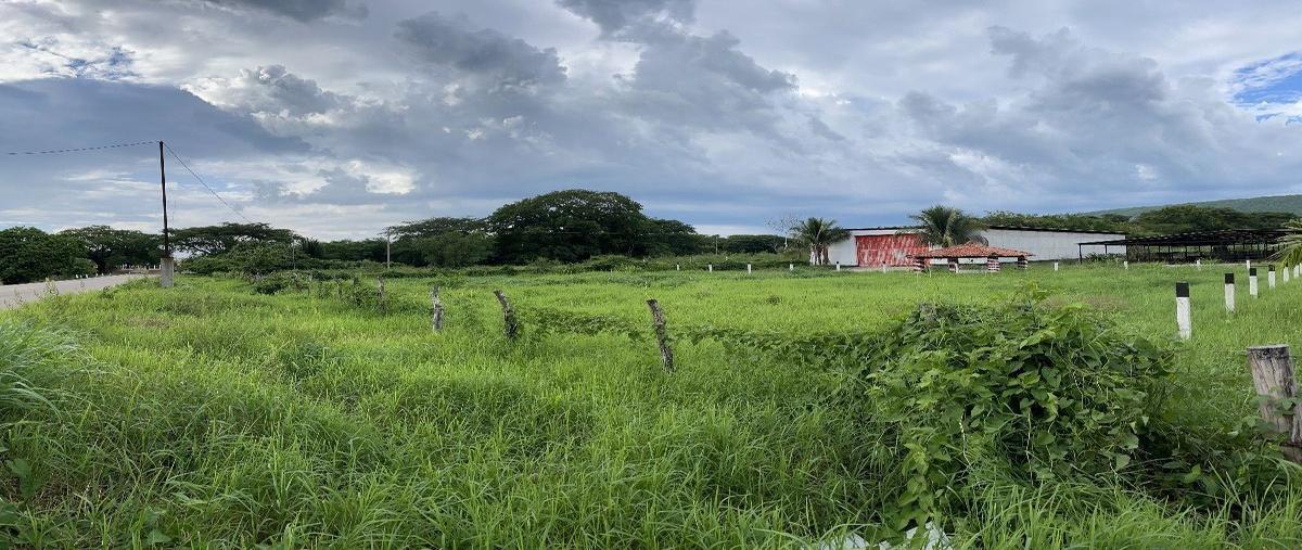 Foto de rancho en , julián grajales, chiapa de corzo, chiapas, 26822063 foto 04 Foto de rancho en venta en , julián grajales, chiapa de corzo, chiapas, 26822063 No. 04