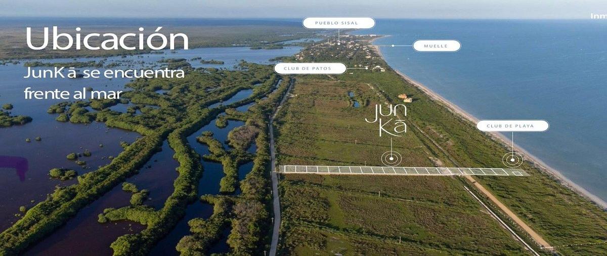 Foto de terreno habitacional en junka villas sisal , sisal, hunucmá, yucatán, 0 foto 02 Foto de terreno habitacional en venta en junka villas sisal , sisal, hunucmá, yucatán, 0 No. 02