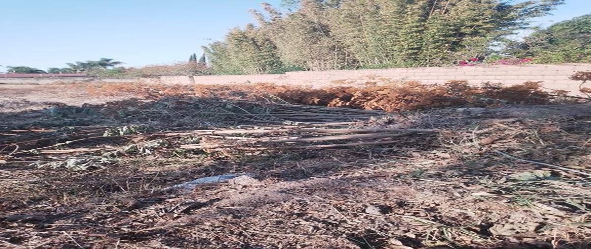 Foto de terreno habitacional en venta en jurica , la mojonera, zapopan, jalisco, 0 No. 05