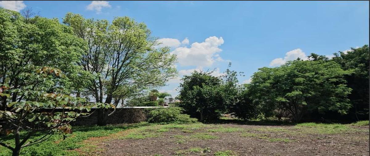 Foto de terreno habitacional en venta en  , juriquilla, querétaro, querétaro, 30580681 No. 05