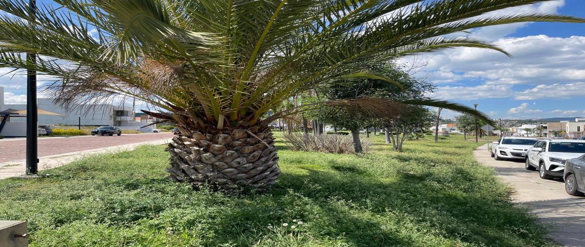 Foto de terreno habitacional en venta en  , juriquilla, querétaro, querétaro, 30580704 No. 05