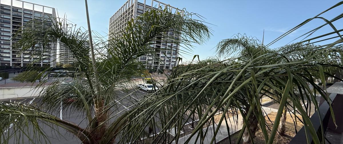 Foto de departamento en venta en  , juriquilla santa fe, querétaro, querétaro, 0 No. 04