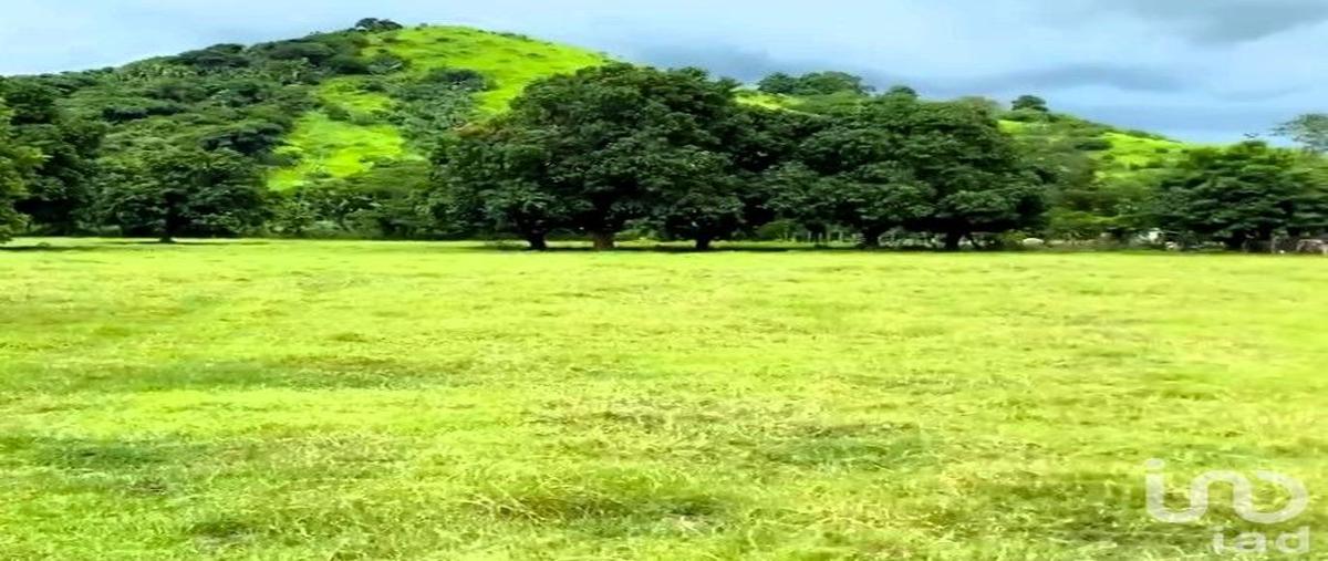 Foto de terreno habitacional en venta en justino rodríguez 77, el capomo, compostela, nayarit, 30400898 No. 05