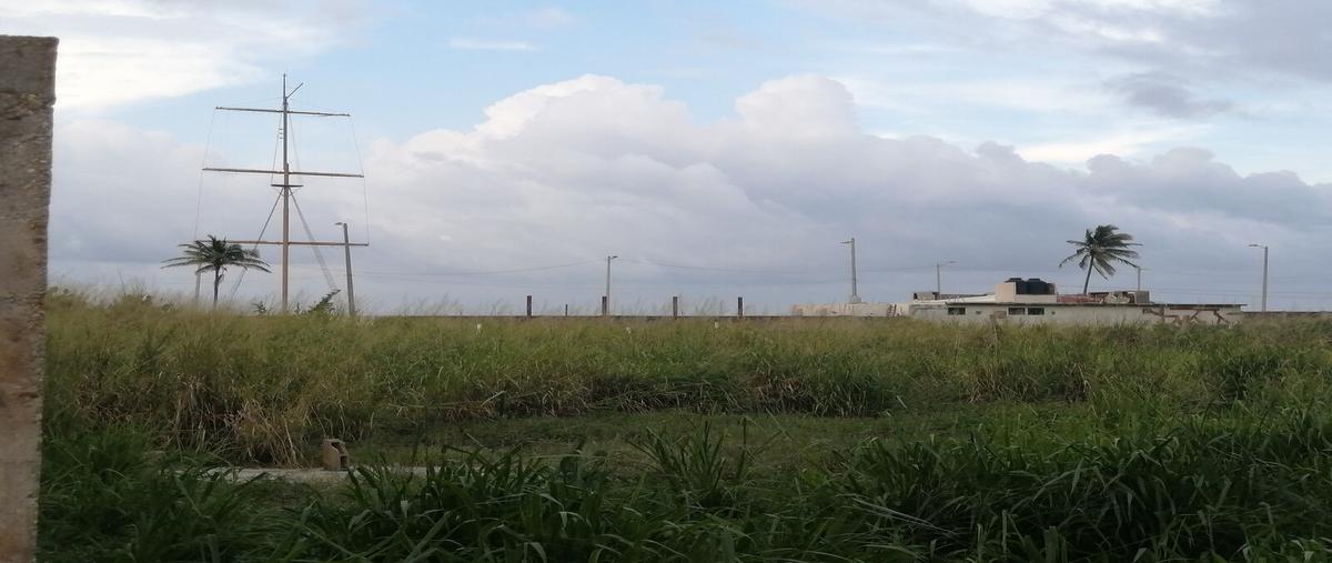 Foto de terreno habitacional en juventino rosas # 1812 , puerto méxico, coatzacoalcos, veracruz de ignacio de la llave, 25054123 foto 05 Foto de terreno habitacional en venta en juventino rosas # 1812 , puerto méxico, coatzacoalcos, veracruz de ignacio de la llave, 25054123 No. 05