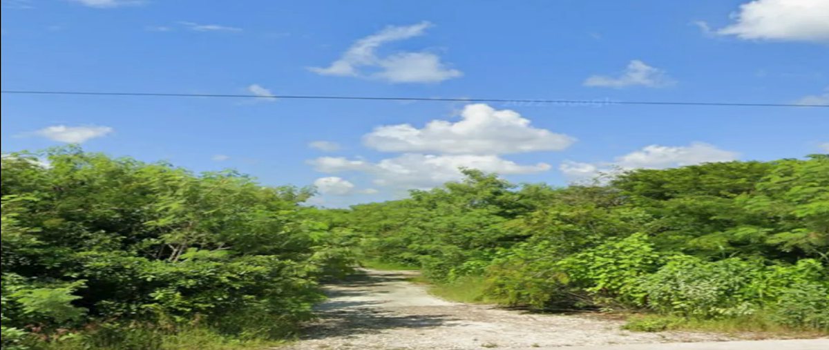 Foto de terreno habitacional en venta en k , komchen, mérida, yucatán, 29312369 No. 04