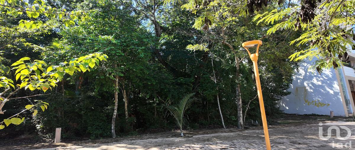 Foto de terreno habitacional en kaan 63, aldea zama, tulum, quintana roo, 30683336 foto 02 Foto de terreno habitacional en venta en kaan 63, aldea zama, tulum, quintana roo, 30683336 No. 02