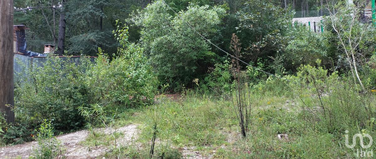 Foto de terreno habitacional en venta en kaltic , real del monte, san cristóbal de las casas, chiapas, 0 No. 03