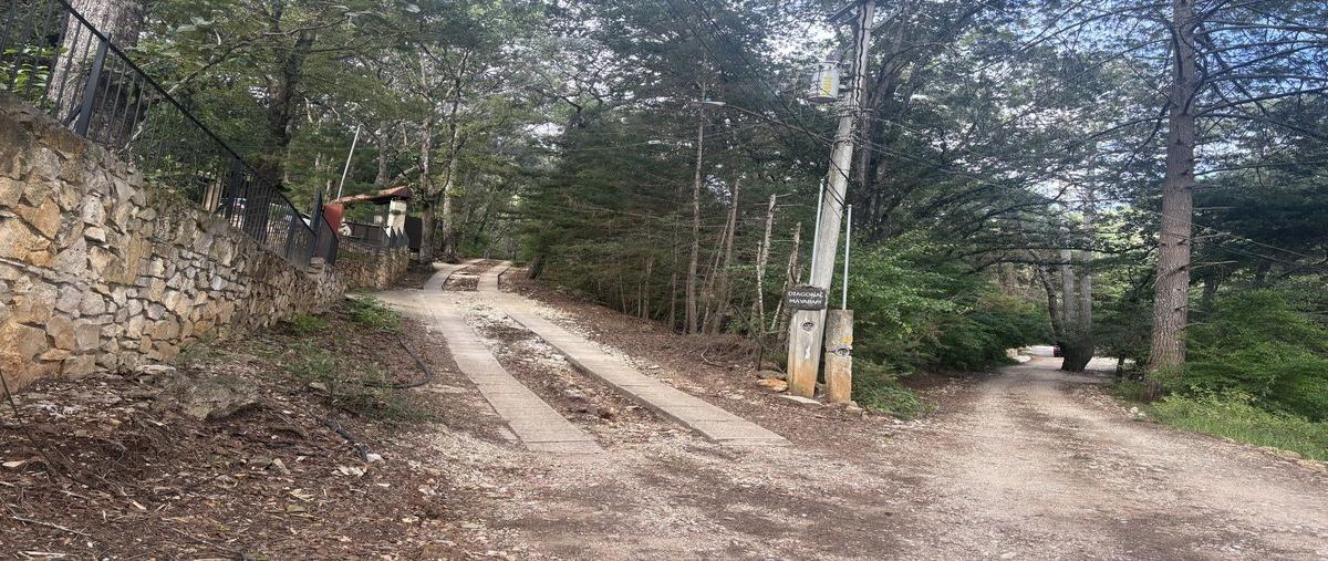 Foto de terreno habitacional en venta en  , kaltic, san cristóbal de las casas, chiapas, 30183574 No. 04