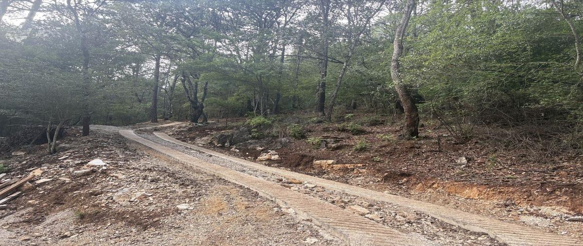 Foto de terreno habitacional en venta en  , kaltic, san cristóbal de las casas, chiapas, 30183574 No. 05