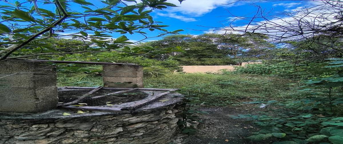 Foto de terreno habitacional en , kanasín centro, kanasín, yucatán, 0 foto 05 Foto de terreno habitacional en venta en , kanasín centro, kanasín, yucatán, 0 No. 05