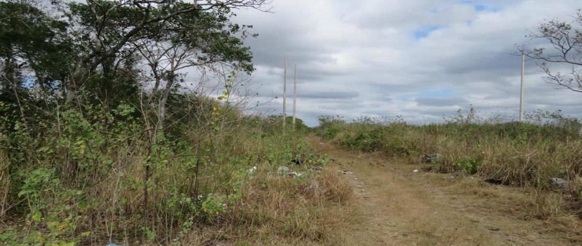 Foto de terreno habitacional en venta en kanasin centro whi10514, kanasín centro, kanasín, yucatán, 15477046 No. 04