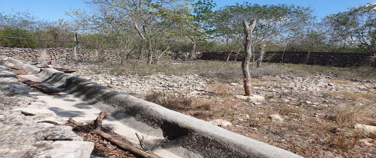 Foto de terreno habitacional en venta en  , kanasin, kanasín, yucatán, 26359611 No. 04