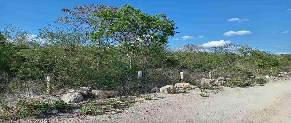 Foto de terreno habitacional en venta en  , kanasin, kanasín, yucatán, 0 No. 01
