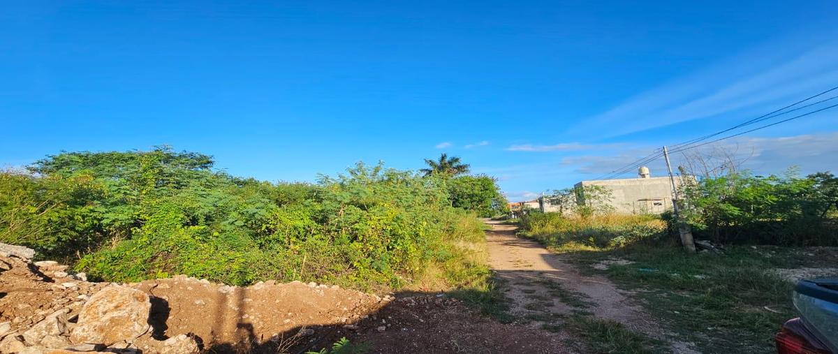 Foto de terreno habitacional en venta en  , kanasin, kanasín, yucatán, 0 No. 05