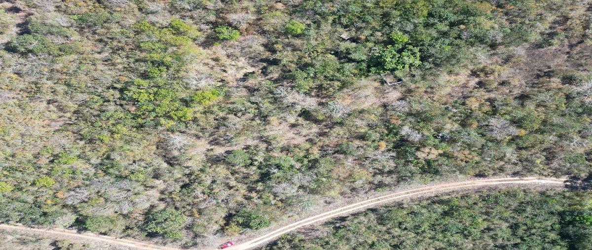 Foto de terreno habitacional en venta en  , kanasin, kanasín, yucatán, 30907241 No. 06