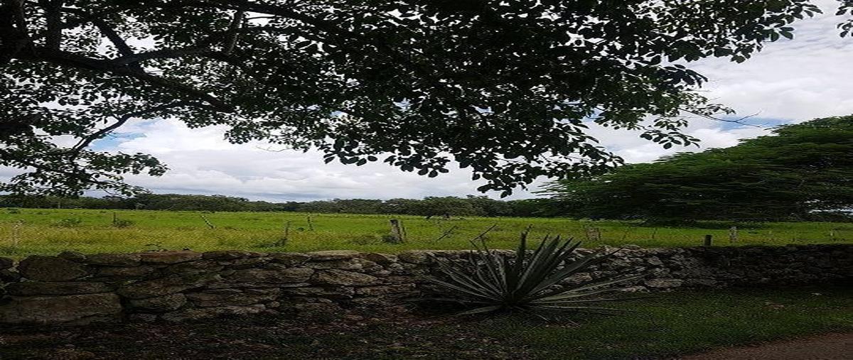 Foto de terreno habitacional en venta en  , kankabchen, baca, yucatán, 20072061 No. 04