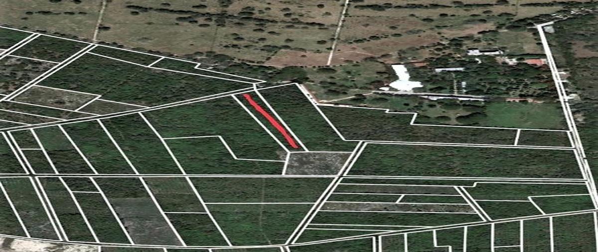 Foto de terreno habitacional en venta en  , kankabchen, baca, yucatán, 0 No. 05